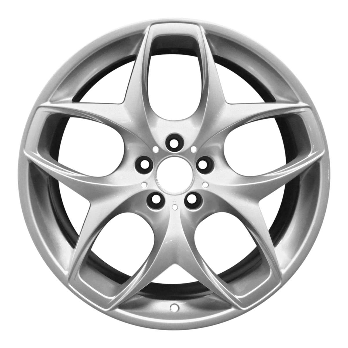 2011 BMW X6 21" Front OEM Wheel Rim Style 215 W71227S